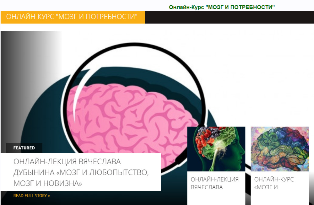 [Архэ] Мозг и потребности  (Вячеслав Дубынин)