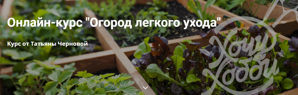 [ХочуХобби]Огород легкого ухода (Татьяна Чернова)