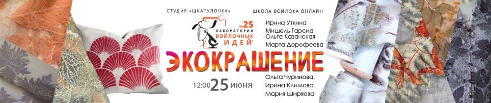 [Шкатулочка] 25-й выпуск Лаборатории войлочных идей. Экокрашение