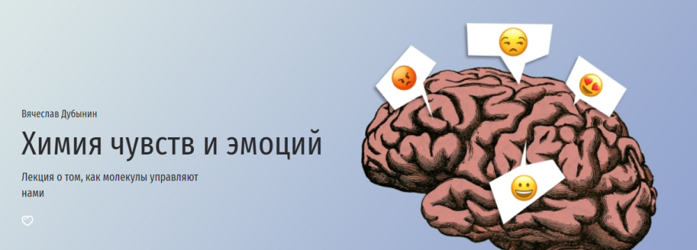 Химия чувств и эмоций (Вячеслав Дубынин)